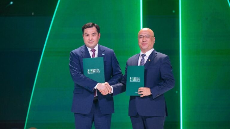 Казахстан и Китай создадут крупный ветропарк на 500 МВт